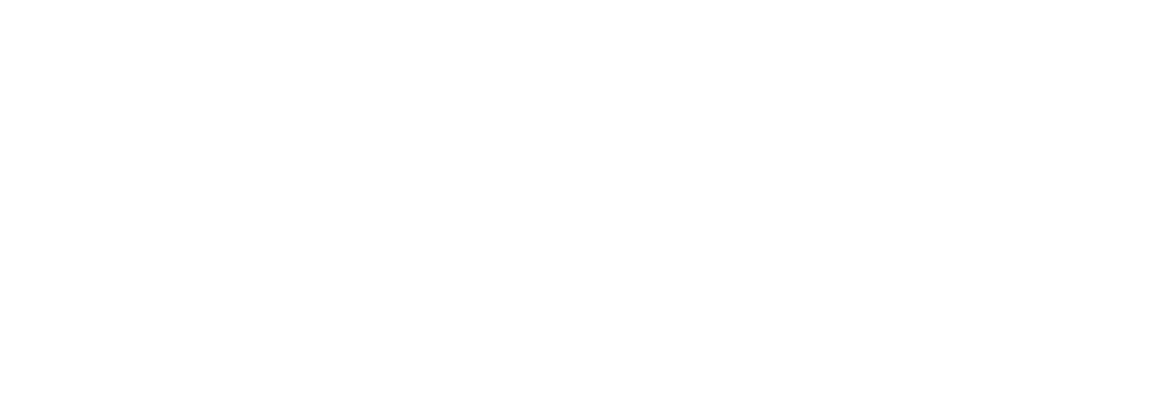 brightfin_logo_white-1